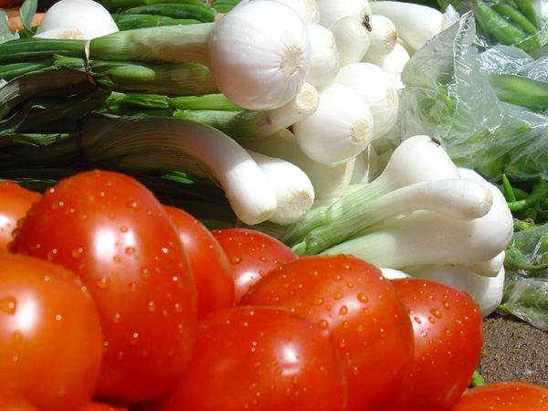 Omdurman Souq Shabbi