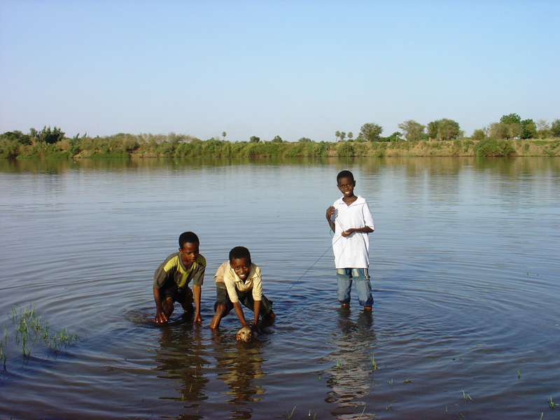 Ab roaf puppy washing