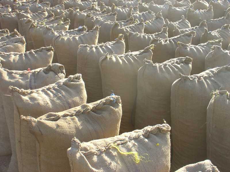 Crop market sacks with string