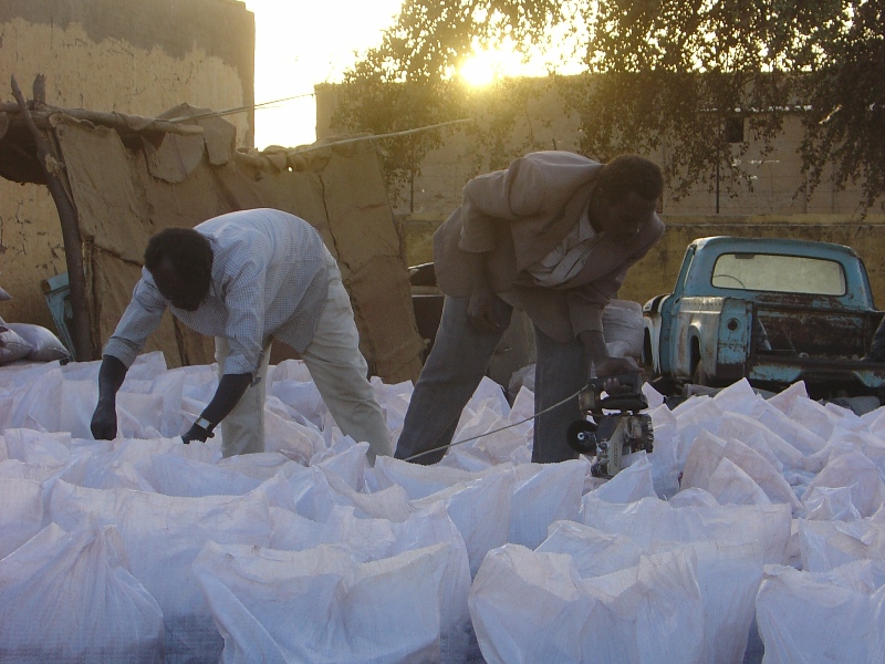 Sewing-up sacks of karkady