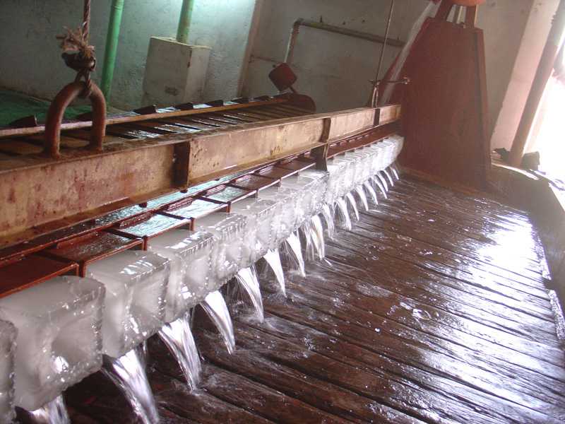 Ice factory 4 tip out