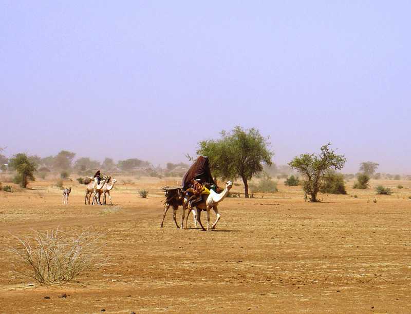 Woman on camel