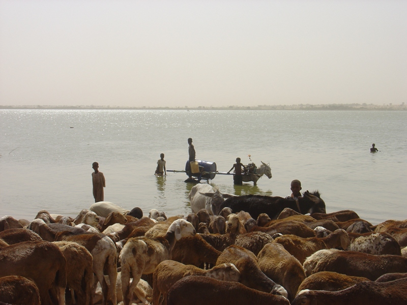 Lake Tourda, Ab Rahad