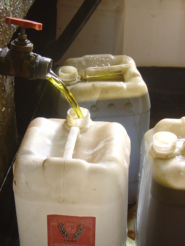 Sesame oil production