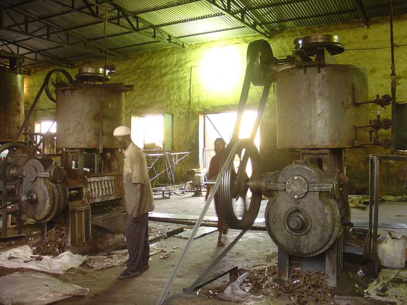 Sesame oil production