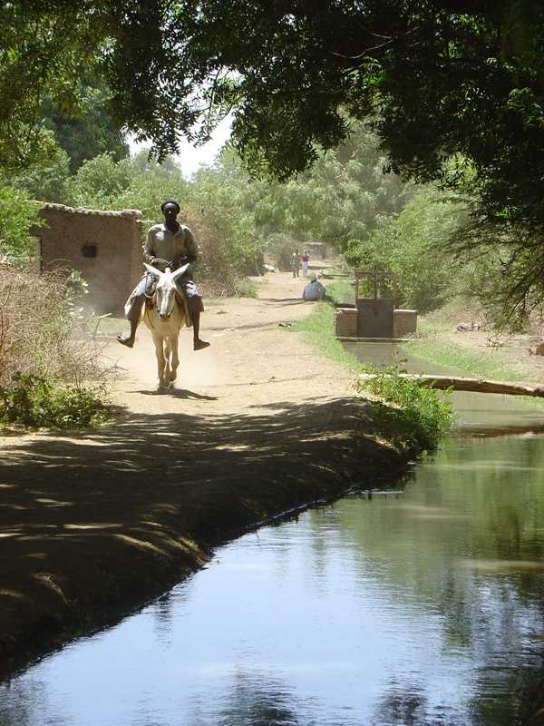 Sandy lanes at Tuti Island