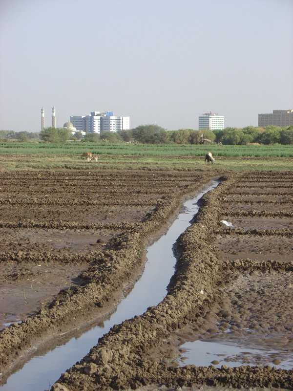 Irrigation at Tuti Island