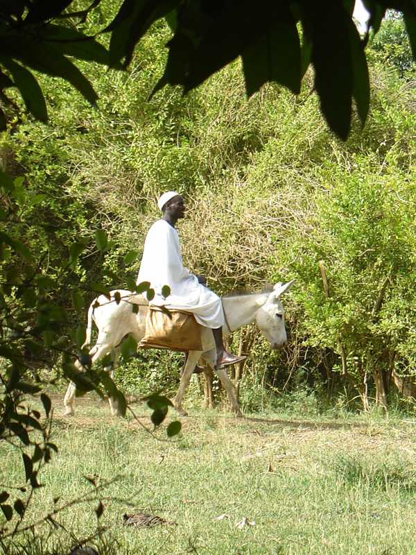 Farmer at Tuti Island