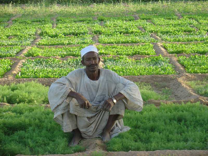 Small holding, Barah