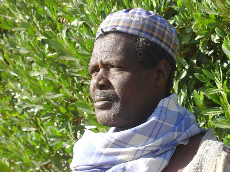 Obied guesthouse Osman