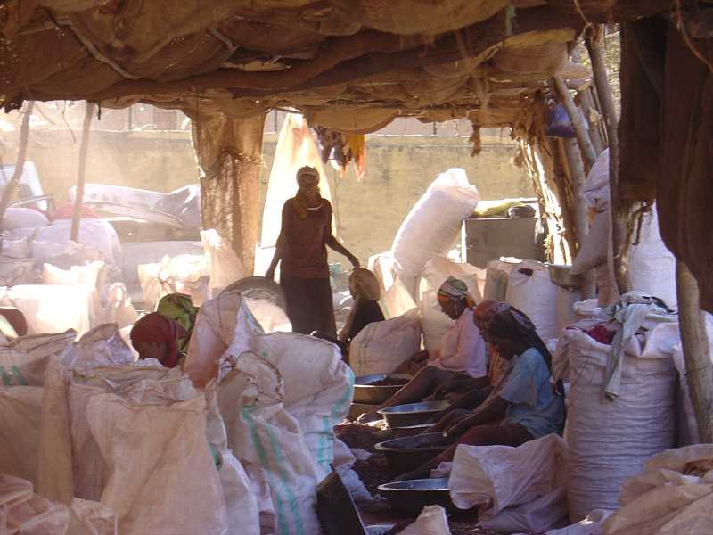 Hibiscus girls at work