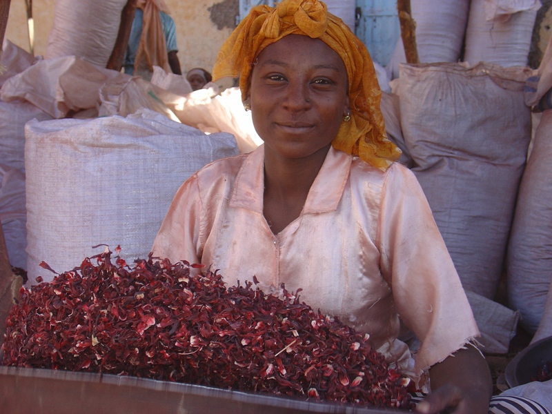 Asher, lead hibiscus girl