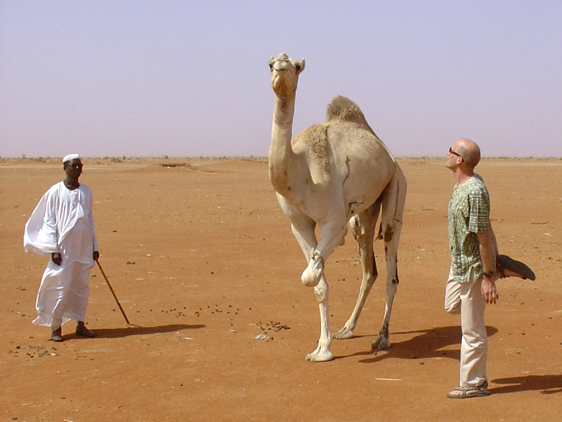 Obied animal market self one leg
