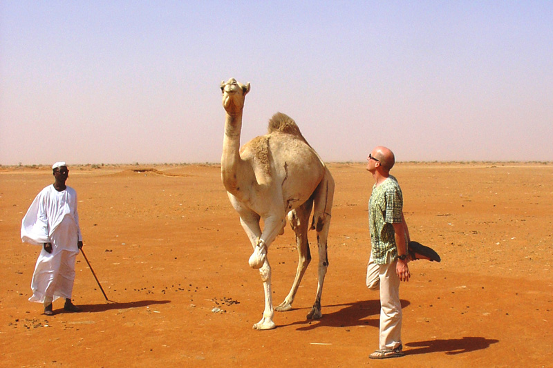 Obied animal market self one leg