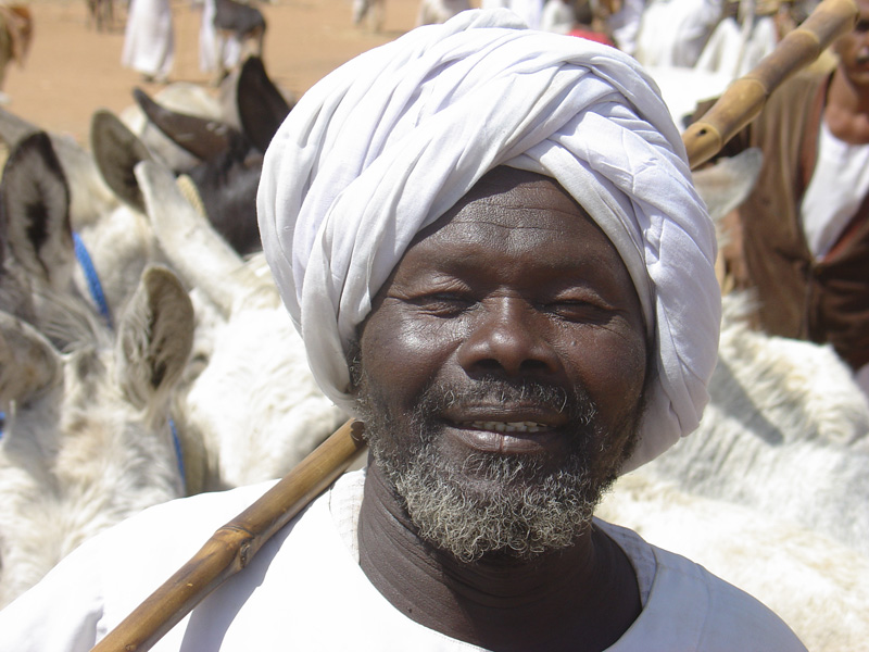 Obied animal market donkey hand
