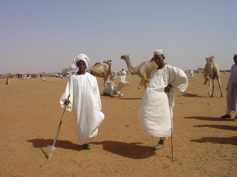 Obied animal market camelmen