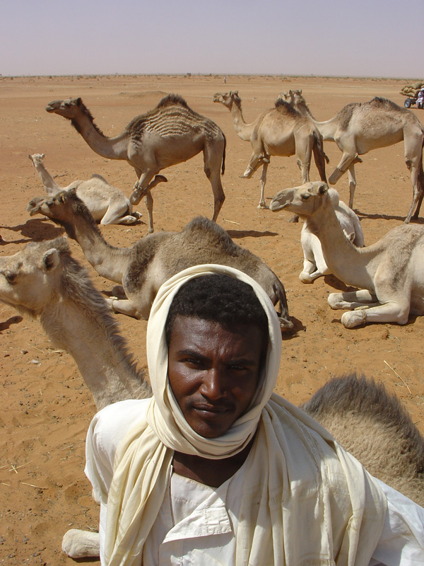 Obied animal market camelman