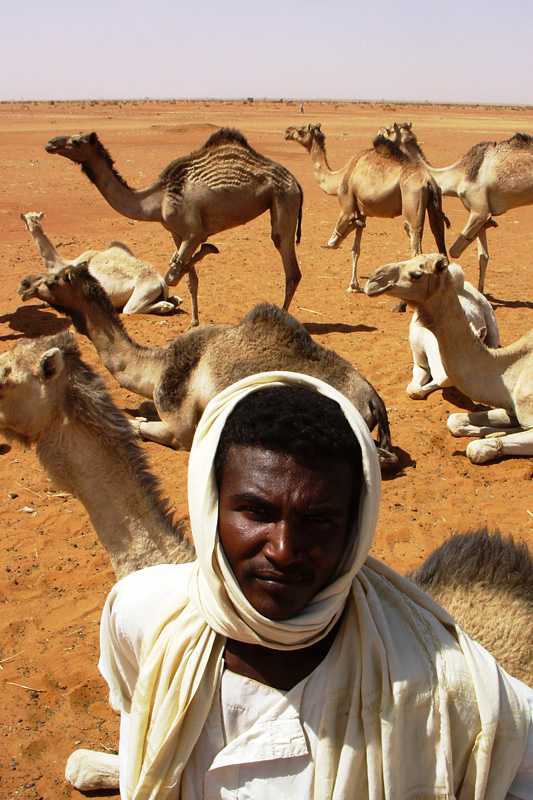 Obied animal market camelman