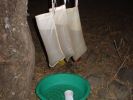 Filtering water, somewhere up Beshlo gorge