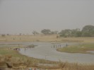 Mali Djenne