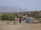 Niger Aier Mts cameltrek