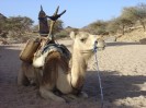 Niger Aier Mts cameltrek