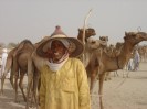 Niger Nguigmi camelmarket