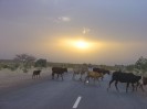 Chad to Ndjamina