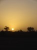 Sudan Dilling