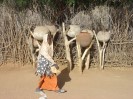 Sudan into Nuba villages