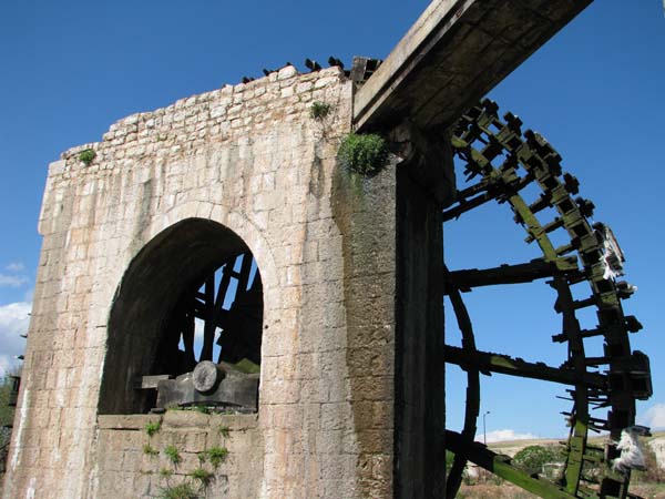 055_on_the_road_by_Peter_Bennett_IMG_3286