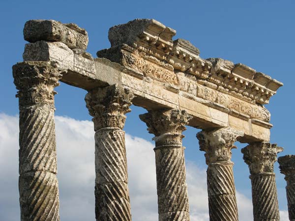 059_Apamea_twisted_by_Peter_Bennett_IMG_3320