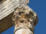 058_Apamea_close-up_by_Peter_Bennett_IMG_3300