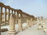 070_Palmyra_main_colonade_by_Peter_Bennett_IMG_3462