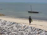 DSC05996 Pangane village shoreline drying fish by Peter Bennett